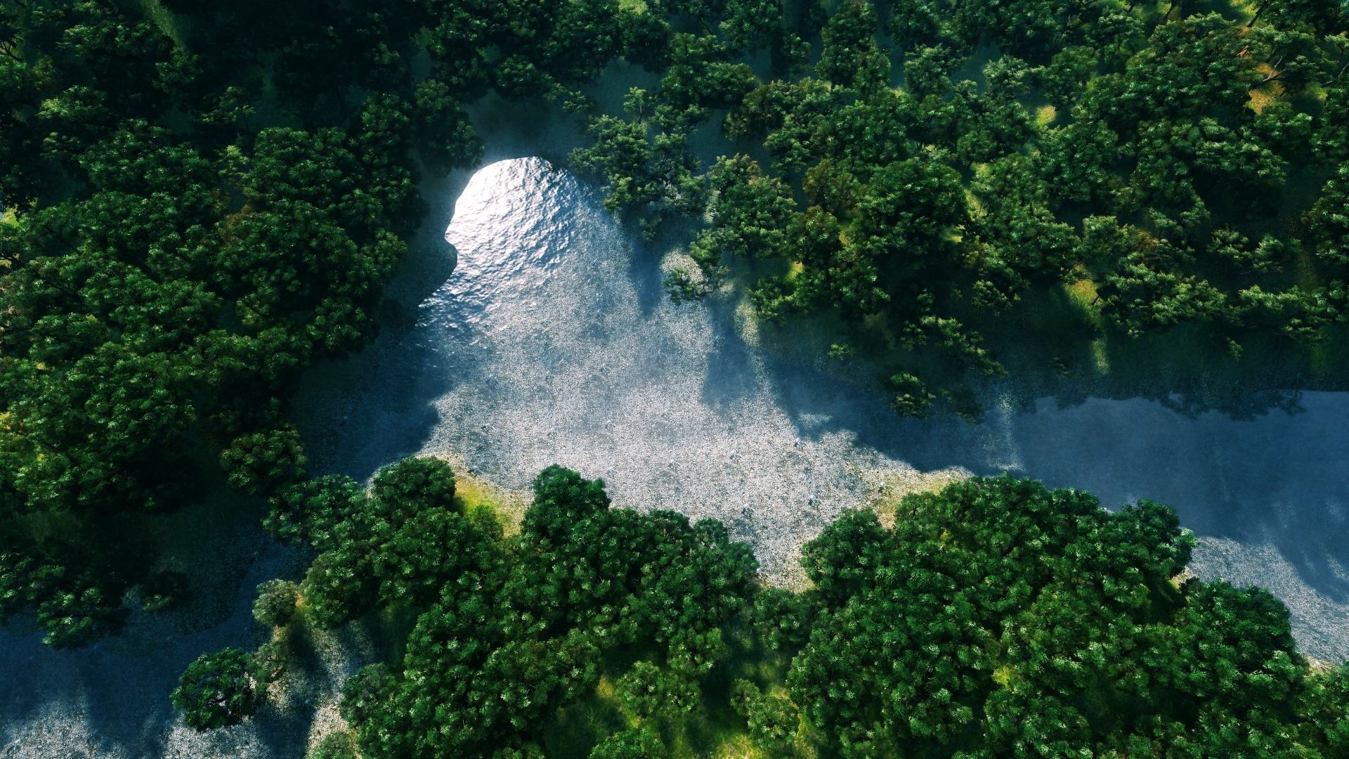forest-img