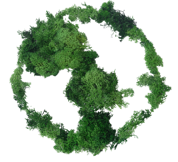green-world-shape